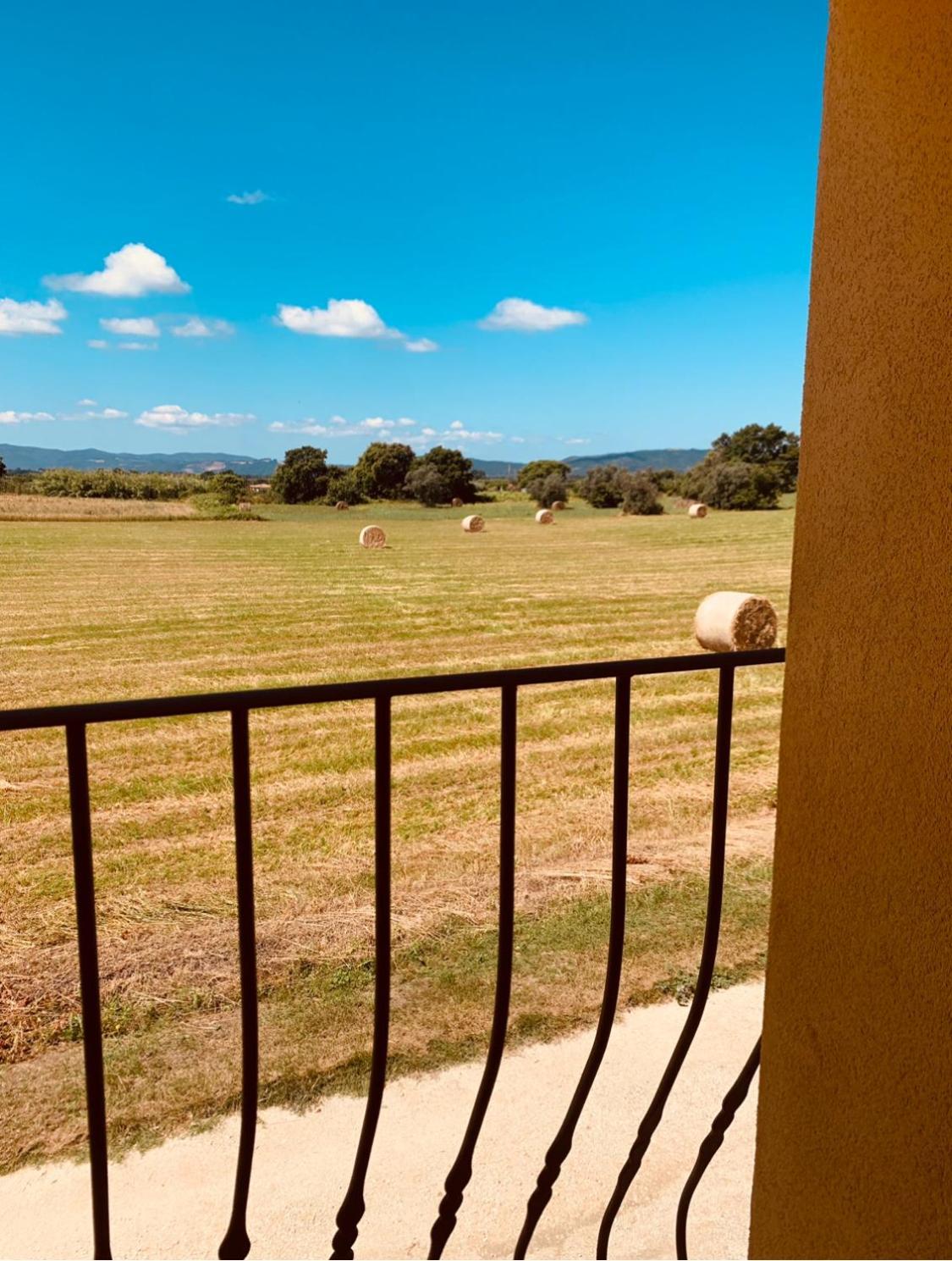 Podere Ficolivo Pitigliano Zewnętrze zdjęcie